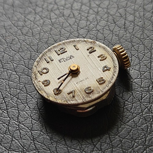 Mouvement elvia pile montre - elvia, à
