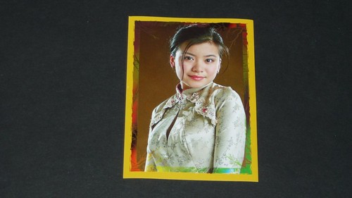 131 panini harry - panini,