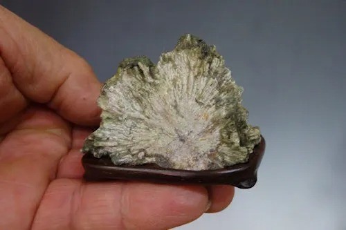 Japon shimonita kikka - japon, kikka-seki