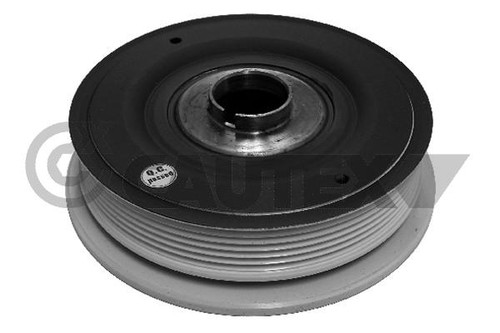 Poulie damper renault vel - renault,