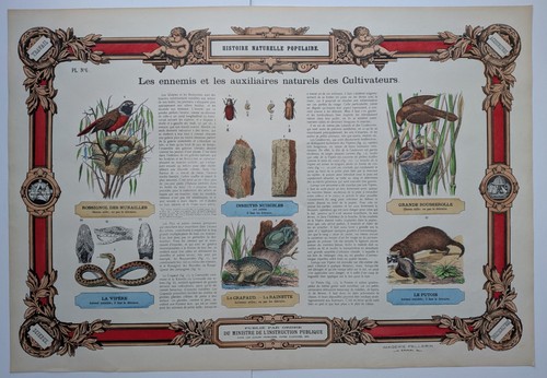 Histoire naturelle populaire - populaire,