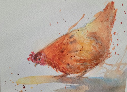 Aquarelle originale poule - aquarelle,