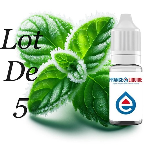 Liquide menthe glaciale x - e,
