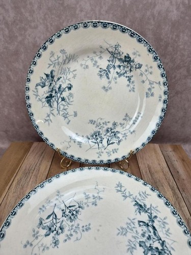 Lot assiettes plates - lot,