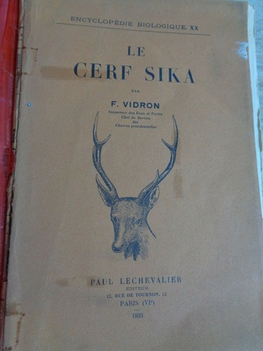 Chasse cerf sika par - -, f