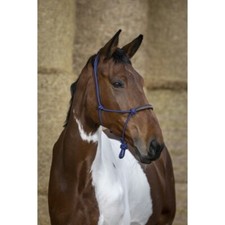 Licol éthologique NORTON