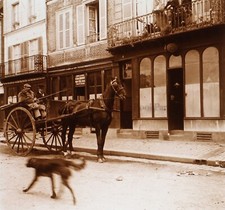 France Lisieux M. Dézé dans