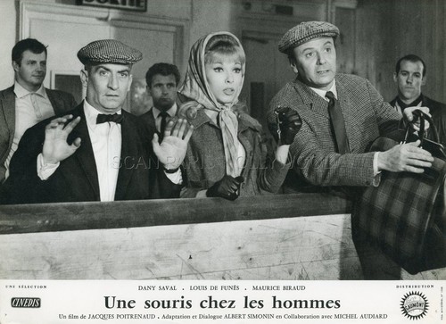 Louis funes une souris - souris, chez