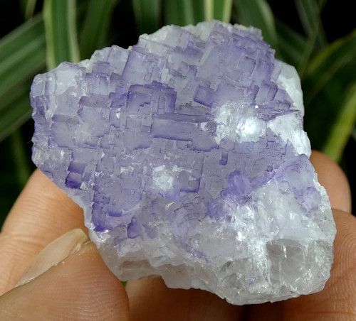 Fluorite violette fontsante - fluorite,