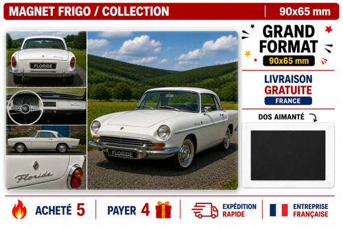 Magnet frigo floride - floride, voiture