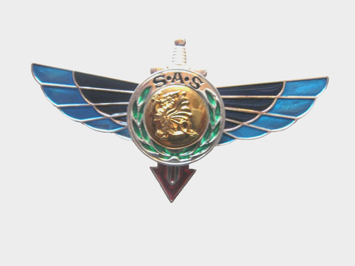 Commandos parachutistes brevet - parachutistes,