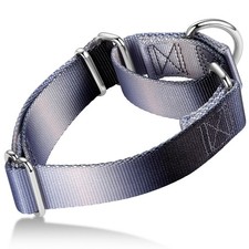 Martingale Collier pour chien