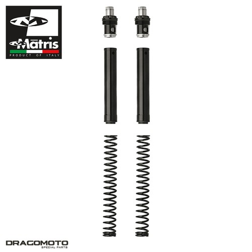 Kit fourche moto - kit, audace