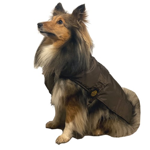 Manteau pluie pour - pour, chien