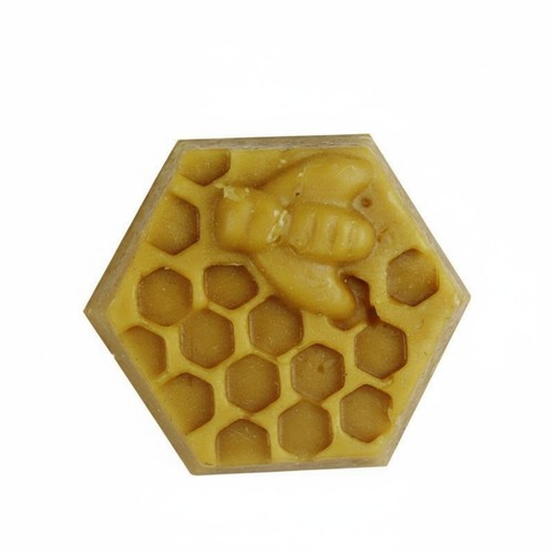 Seau piège abeilles - seau, à