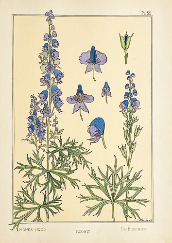 Original 1896 art - original,