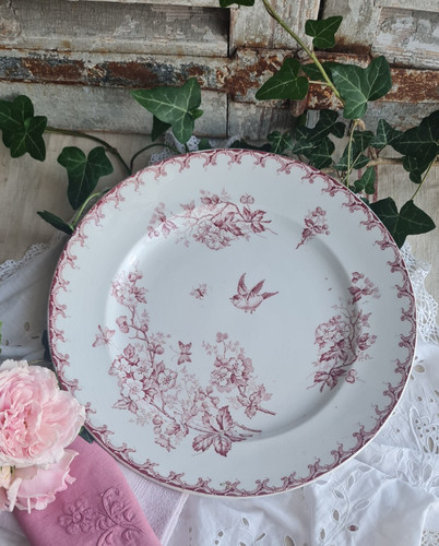 Ancien plat rond - ancien,