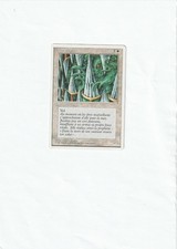 Mur d’épées-French White bordered edition 1995-Magic TG-NM
