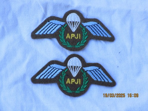 Instructeur saut en - de,