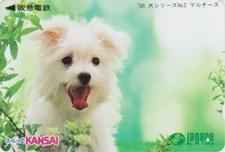 Carte JAPON - ANIMAL CHIEN -