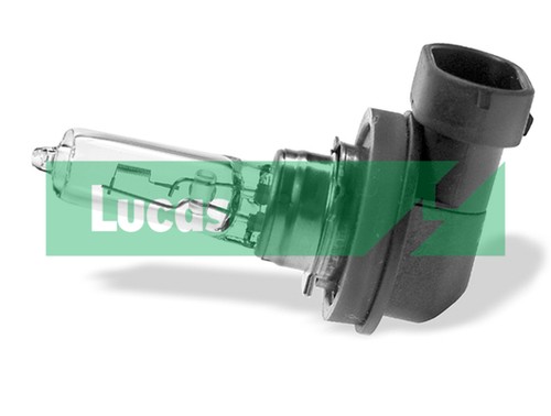 Ampoule projecteur longue - projecteur,