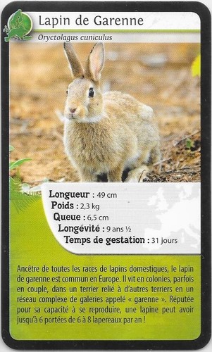 Carte super bioviva - carte,