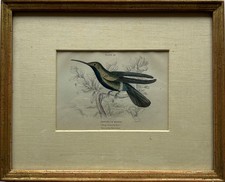 Couleur Gravure sur Cuivre