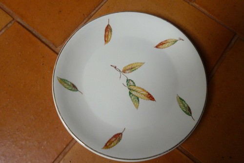 Assiettes plates digoin - assiettes,