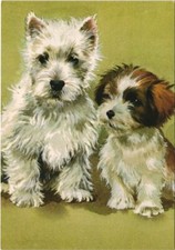 CPA AK Westie DOG (1178396)