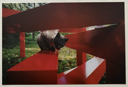 Francois morellet carton d - -,