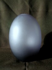 Vase oeuf moderne - moderne, verre