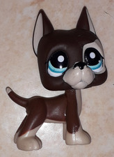 Petshop chien Danois Dogue