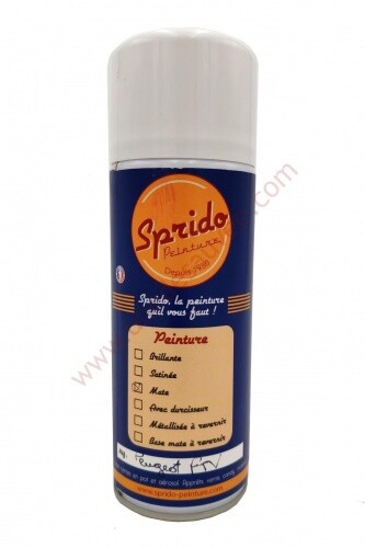 Bombe ftv gris peinture - ftv,