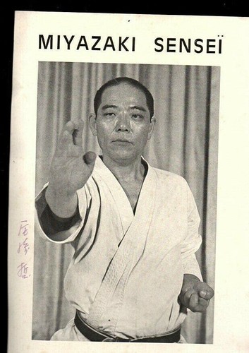 Affiche poster karaté satoshi - affiche,