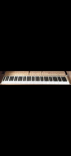 Full set piano keys - set, of