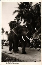 CPA AK VIETNAM SAIGON Un Elephant domestique (550463)