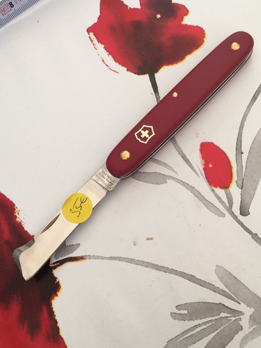 Couteau greffoir victorinox - couteau,