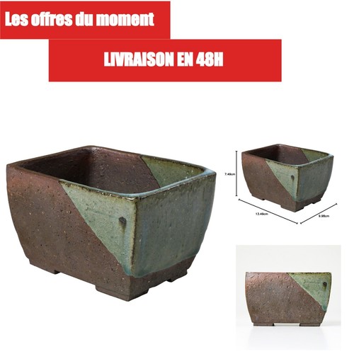 Wazakura pot bonsaï - pot, à