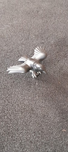 Animal corbeau ailes ouvertes - animal,