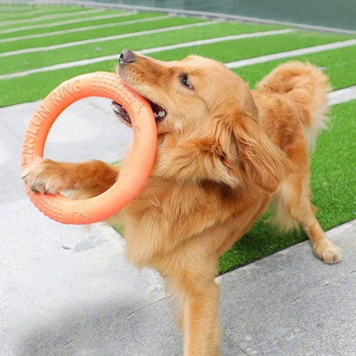Jouet chien interactif - jouet,