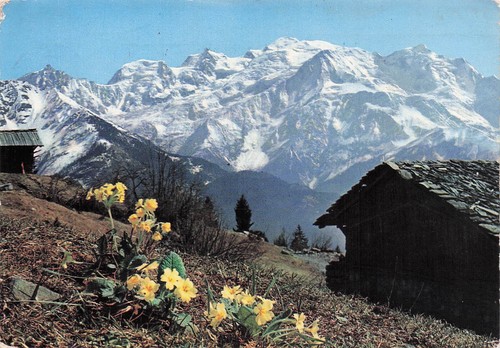 Chamonix mont blanc ski - blanc,
