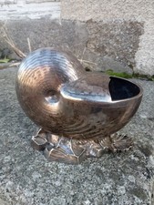 Coquillage Nautile Metal Argenté Anglais Sculpture Curiosité
