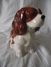 Tirelire motif -  CHIEN