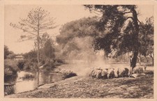 GASCOGNE départ du troupeau