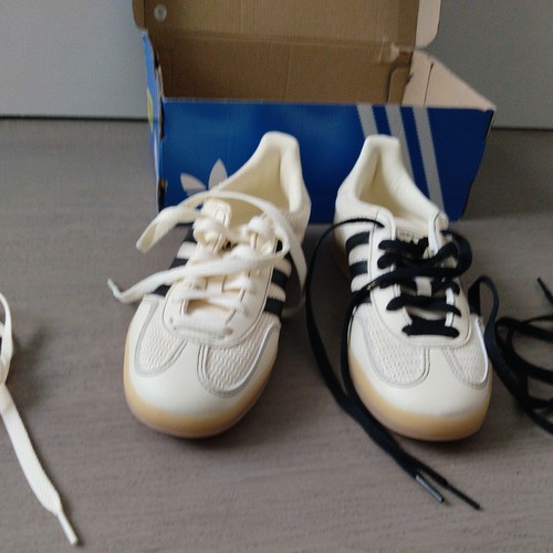 Gazelle indoor - gazelle, j