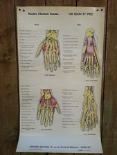 ANCIENNE AFFICHE- PLANCHES