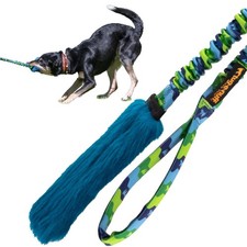 Dog gear bright - ,