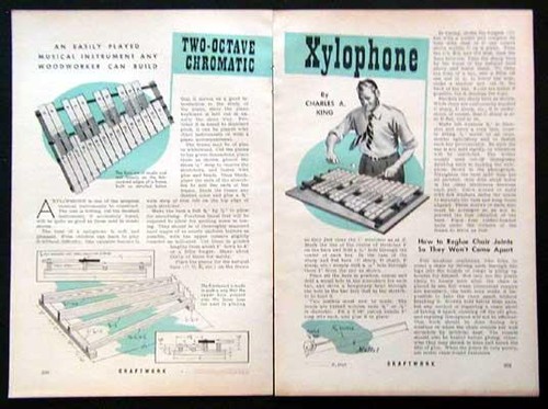 Octave xylophone chromatic - xylophone,