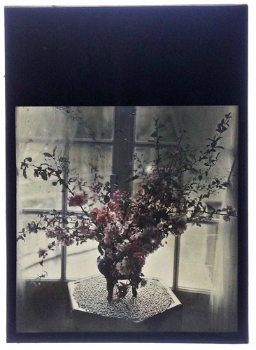 Lumiere photographie - lumiere,
