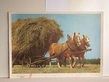 Cheval 2PS Remorque À Foin Équipe Chariot 92x64cm Affiche Murale Scolaire 1969